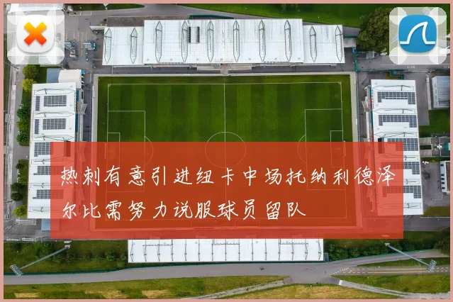 热刺有意引进纽卡中场托纳利德泽尔比需努力说服球员留队