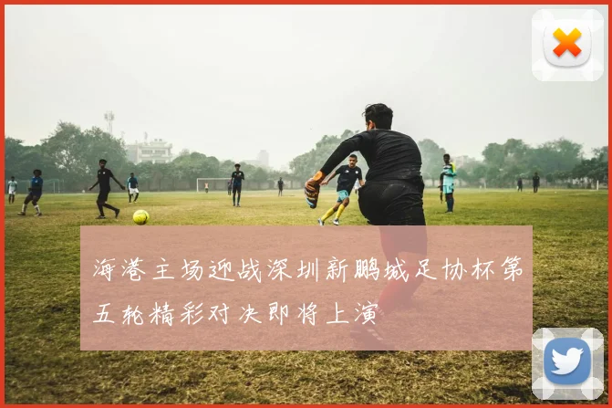 海港主场迎战深圳新鹏城足协杯第五轮精彩对决即将上演